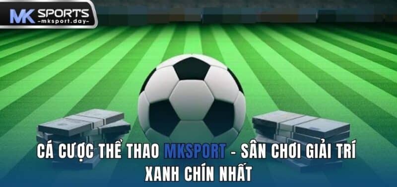 cá cược thể thao